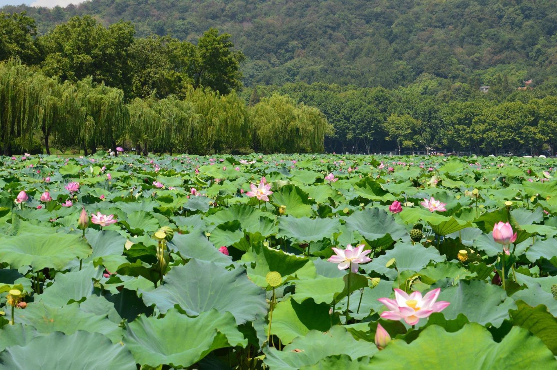 Nost Algia S Hotel In The West Lake Scenic Area-,Lingyin Temple, Leifeng Tower, Children'S Playground, Free Night Snack, Free Laundry, English Communication Well, Free Travel Advice هانجتشو المظهر الخارجي الصورة